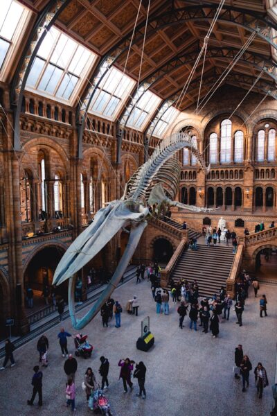 Противопожарные шторы для исторических зданий: безопасное сохранение наследия